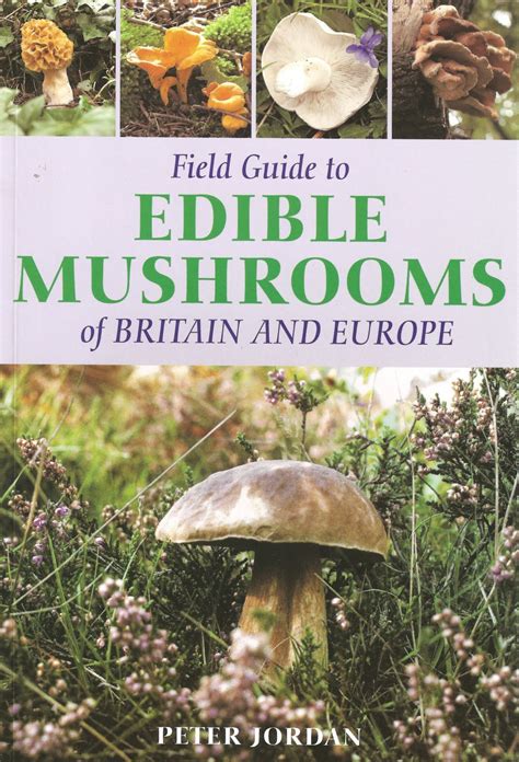 Mushroom Identification Guide Book Guide Bizguru