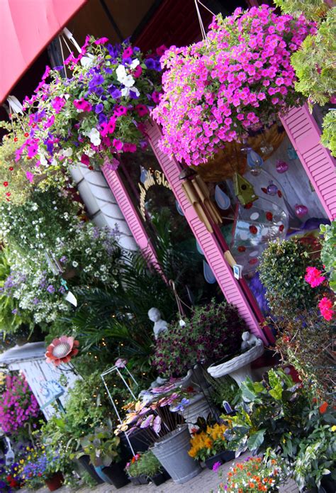 The Perfect Flower Shop Montclair Nj The Hamptons Houses Flower