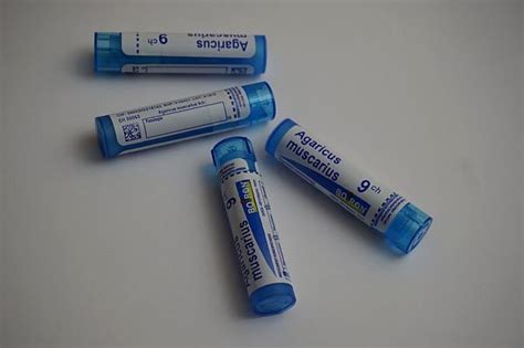 HOMÉOPATHIE POUR CHIEN ANXIEUX