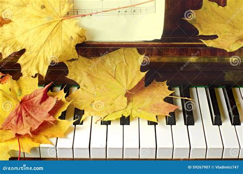 Maple Leaves On A Piano Stock Image Image Of Green Tree 59267907