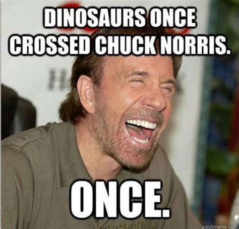 Here are 22 hilarious chuck norris memes. 43 Chuck Norris Memes That Are So Badass They Should Get ...