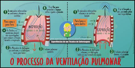 Entendendo O Processo Da Ventilação Pulmonar Enfermagem Ilustrada