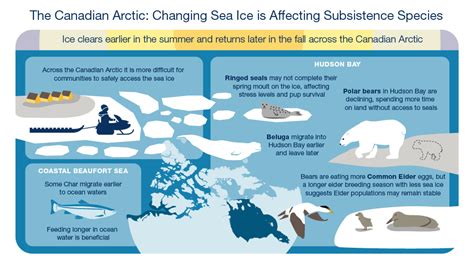 New Report Illustrates The Domino Effect Of Arctic Sea Ice Change