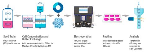 Large Scale Cell Concentration And Buffer Exchange Prepares CHO Cells For Electroporation MaxCyte