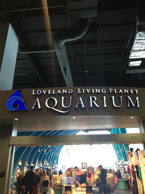 Loveland Living Planet Aquarium Draper All You Need To Know Before