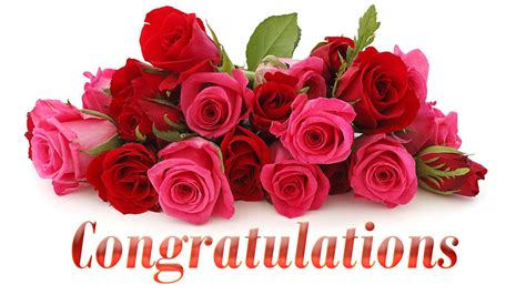Congratulations Wishes Images And Hd Pictures Congratulations Messages