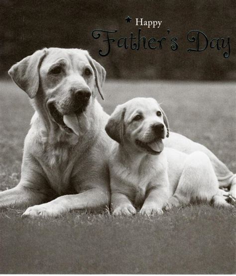 Cute Dogs Happy Fathers Day Card Cards Love Kates