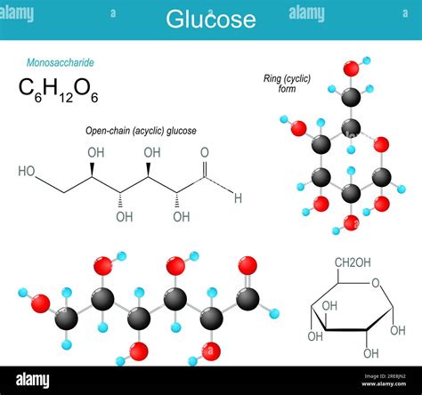 Molécula De Glucosa Fórmula Estructural Química Molecular Y Modelo De