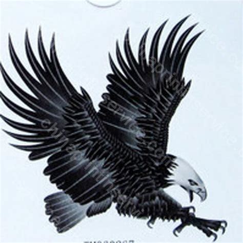 Celtic Hawk Tattoo Flying Hawk Eagle Tattoo Temp Tattoo Eagle