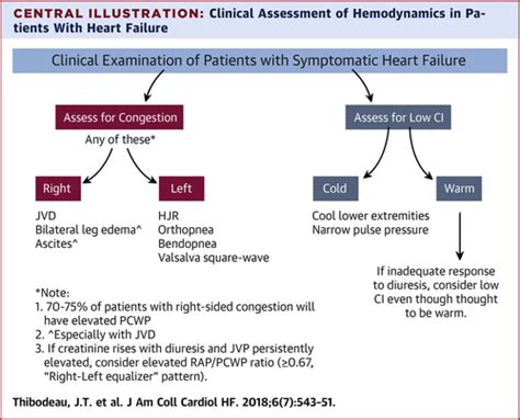 The Role Of The Clinical Examination In Patients With Heart Failure