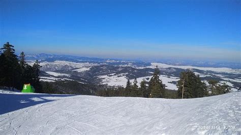 Mountain Tornik Zlatibor 2020 All You Need To Know Before You Go