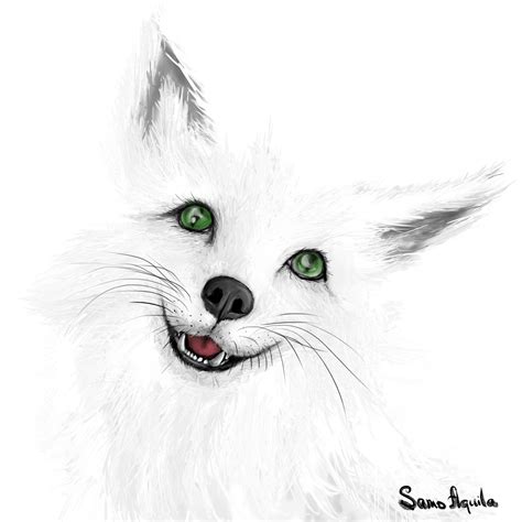 Fox Spirit By Samoaquila On Deviantart