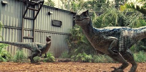Image Jurassic World Velociraptors 1png Jurassic Park Wiki Wikia