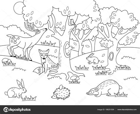 Dibujos: bosques para colorear | Bosque de dibujos ...