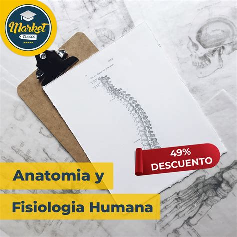 Curso De Anatomia Y Fisiologia Humana Descuento Especial