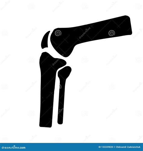 Vector Human Knee Joint Side View Stock Vector Illustration Of