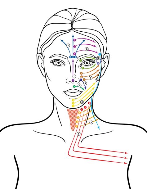 360 Method Facial Zone Massage — 360 Wellness Education