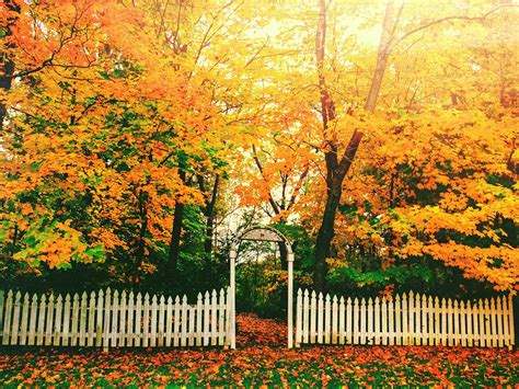 51 Photos That Prove America Truly Is Beautiful Autumn Landscape