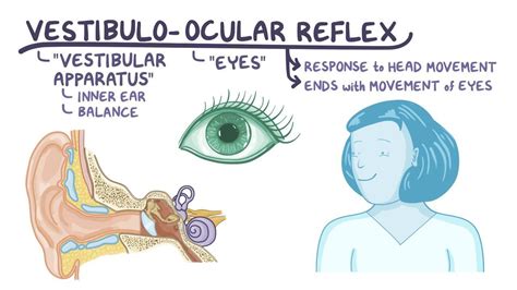 Vestibulo Ocular Reflex And Nystagmus Osmosis