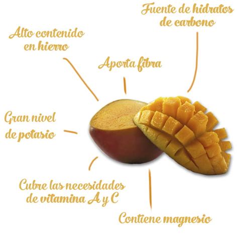 Beneficios Del Mango Y Sus Propiedades Huerta Tropical