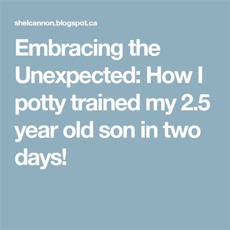 The Text Reads Embracing The Unexpected How I Potty Trained My Year