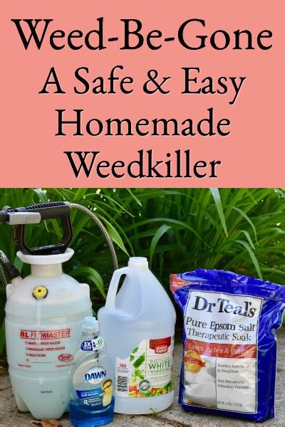 Weed Be Gone A Safe And Easy Homemade Weedkiller