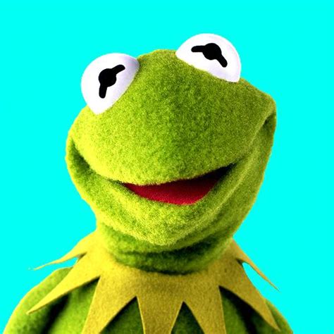 Kermit The Frog Takes Over Latest Post On Disney Live Entertainment