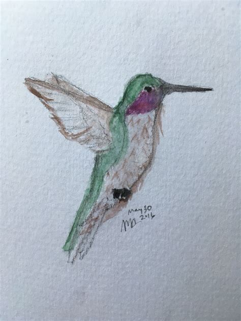 The goal of this contest is simple: My entry for Favorite Animal drawing contest. By Abbie C. (@AMC2K) | Animal drawings, Drawings ...