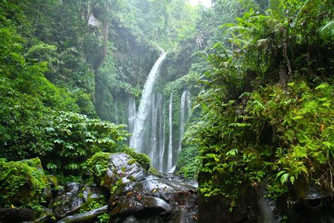Tiu Kelep Waterfall And Sendang Gile Waterfall Lombok