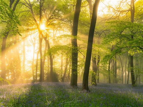 I watermark everything! If photography is your business and you earn an