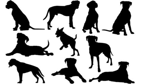 Boxer Dog Silhouette Premium Vector