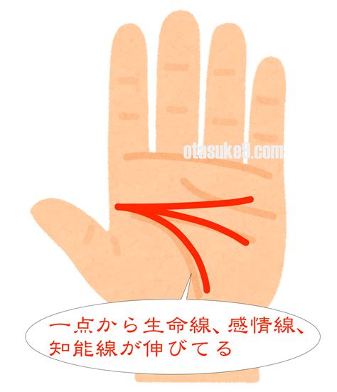 【激レア】変わった珍しい手相ランキングTOP10!!第1位は!?(画像アリ)