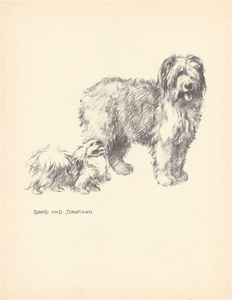 1935 Kf Barker Original 2 Sided Vintage Dog Print Unique Etsy Uk