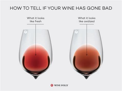 Dec 17, 2018 · a bad zucchini squash is easily identifiable as the skin appears dull and lifeless. How to Tell if Wine Has Gone Bad | Wine Folly | Wine folly ...