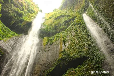Beda tinggi muka air dengan lokasi penampungan + 5 m ini bisa tidak menggunakan pompa jet pump atau sentrifugal atau submersible, mengingat jauhnya sumber air meskipun secara beda tinggi tidak terlalu tinggi? 31+ Ini Gambar Perspektif Pemandangan Air Terjun - Pemandangan