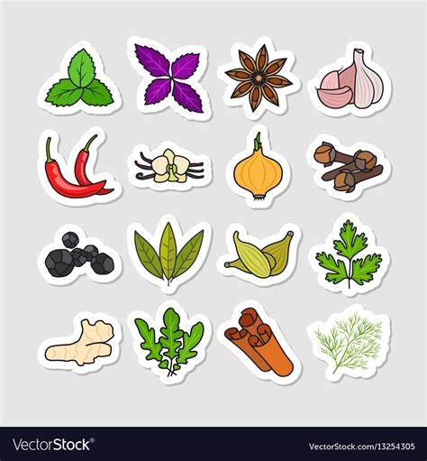 Herbs And Spices Stickers Royalty Free Vector Image