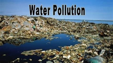 That industry was essentially eliminated over the course of just 10 years. Water Pollution News | Children Of The Landfill