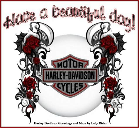 Harley Girl Harley Davidson Logo Harley Davidson Signs Harley
