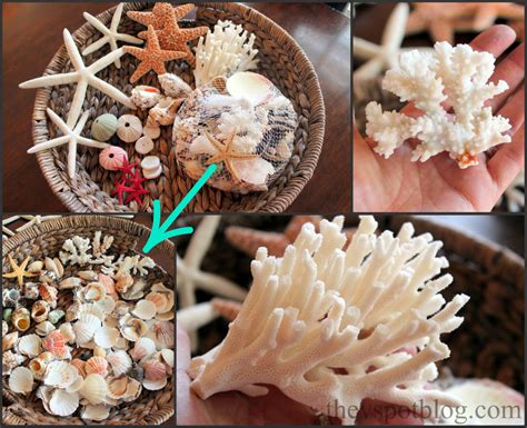 Using Broken And Smaller Pieces Of Coral To Create A Summery Coastal