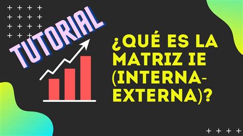 ¿quÉ Es La Matriz Ie Interna Externa Tutorial Completo Youtube