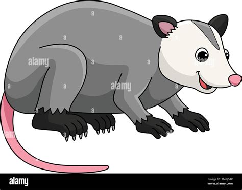 Opossum Animal De Dibujos Animados De Colores Clipart Imagen Vector De