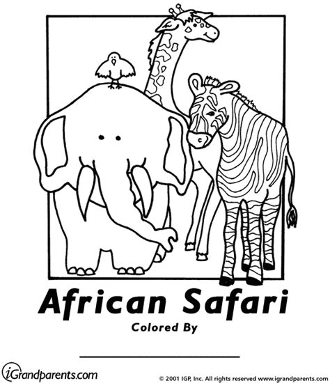 African Safari Animals Coloring Pages At Getcoloringscom Free