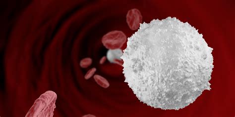 The Power Of White Blood Cells Medfit