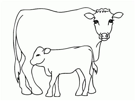 Free Printable Cow Coloring Pages Download Free Printable Cow Coloring