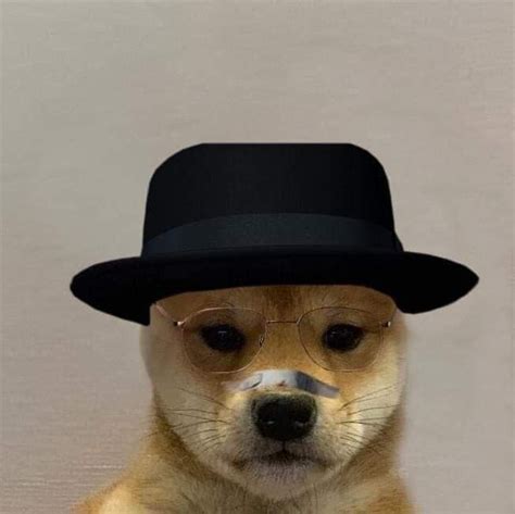 Pin Em Doge With Hat