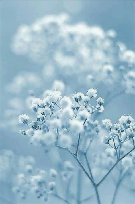 We did not find results for: Pin by Still.. Blue! ! on Still.. Blue! (With images ...