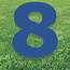Blue Number 8 Yard Sign  Oriental Trading