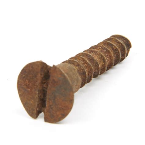 Original 19th Century Antique Small Screws Set Of Ten International