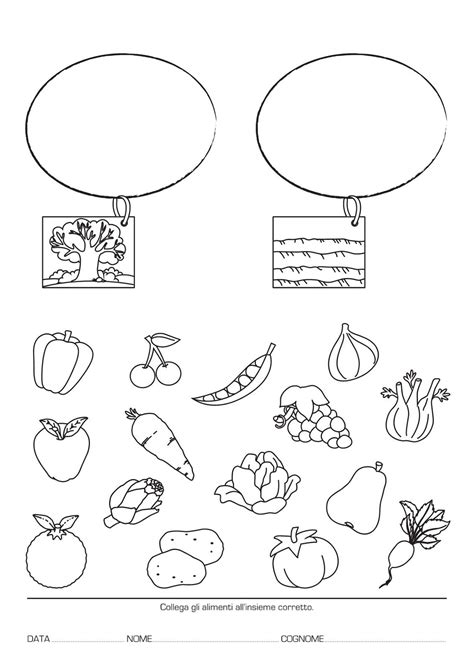 È un gioco di associazioni che si basa sull'associazione dei cibi ai colori del semaforo in base alla frequenza con cui è consigliato mangiarli. Educazione alimentare | Cibo scuola dell'infanzia ...