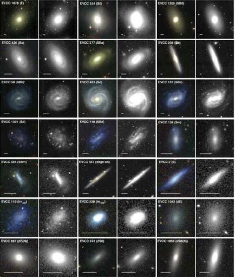 Examples Of Galaxies With Various Primary Morphologies For Each